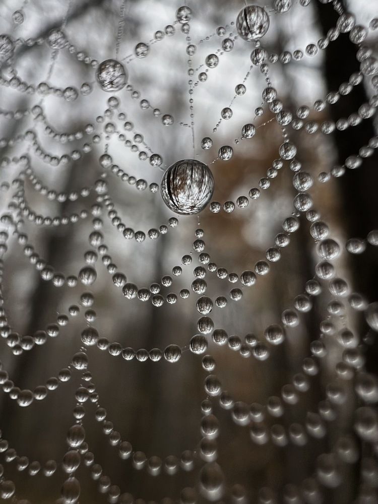 Photograph by Никита