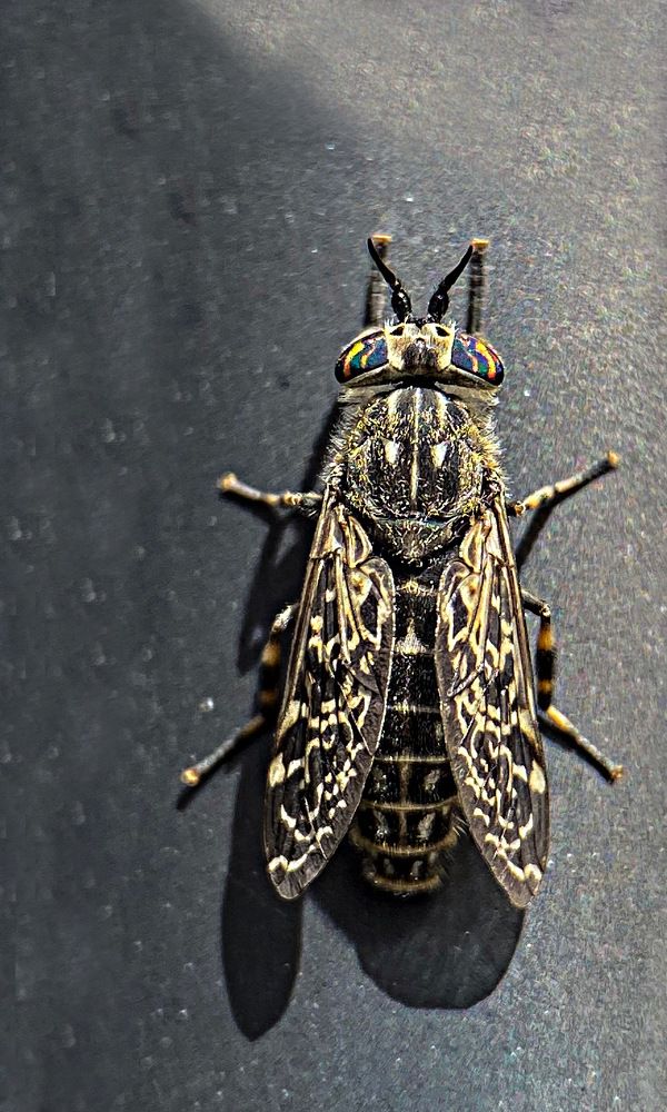 Photograph by Александра Гонтарь