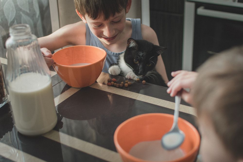 Photograph by Алена Полищук