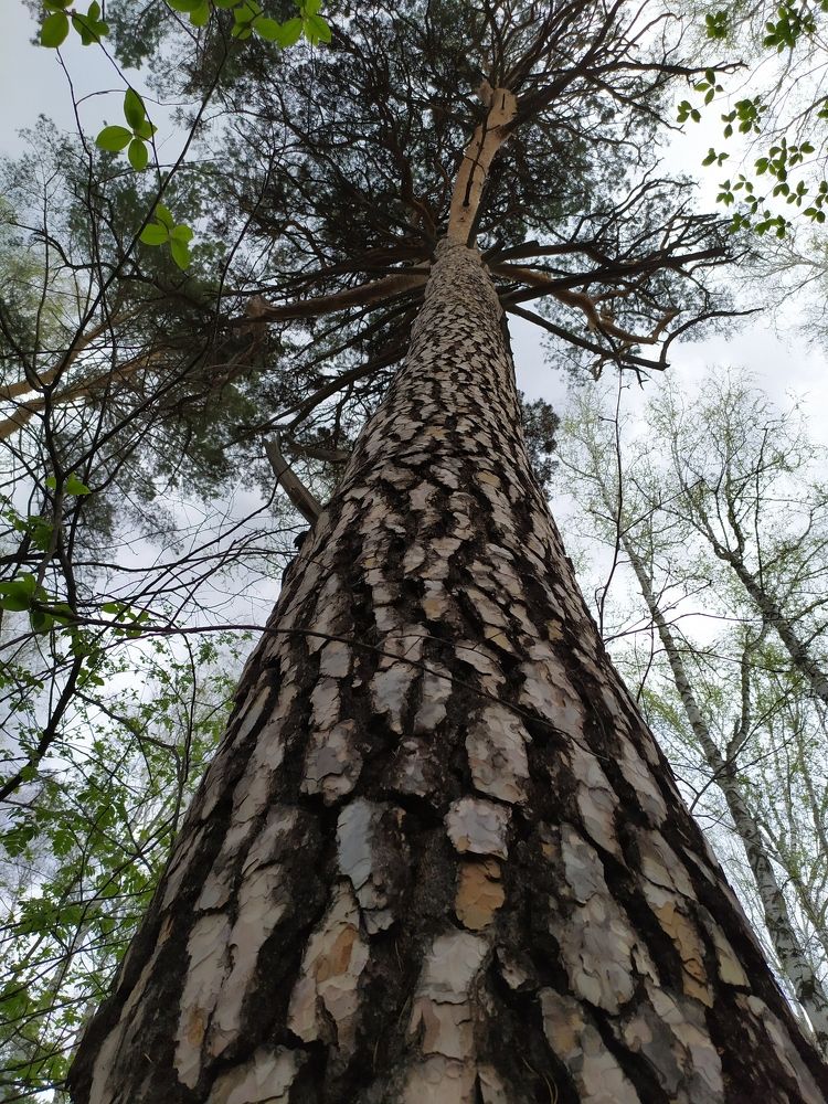 Photograph by Татьяна Клемба