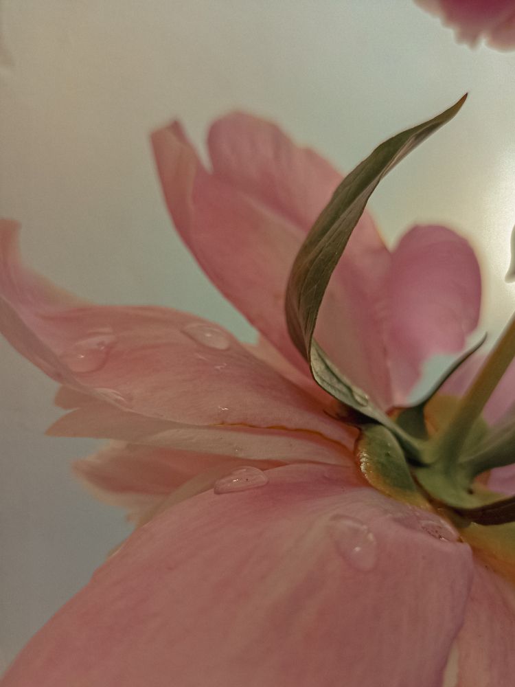 Фотография автора Татьяна Шахова