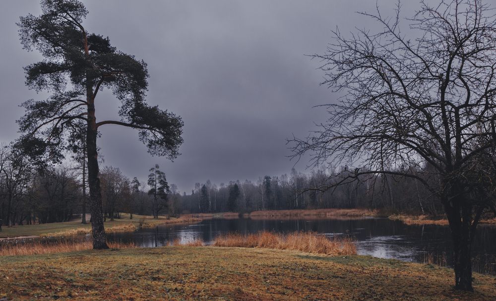 Photograph by Мария Клещенко