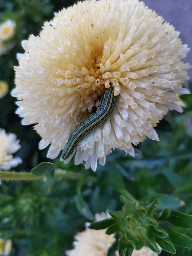 Photograph by Любовь Лунина