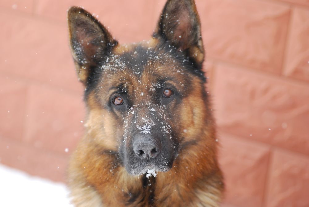 Photograph by Оксана Трофименко