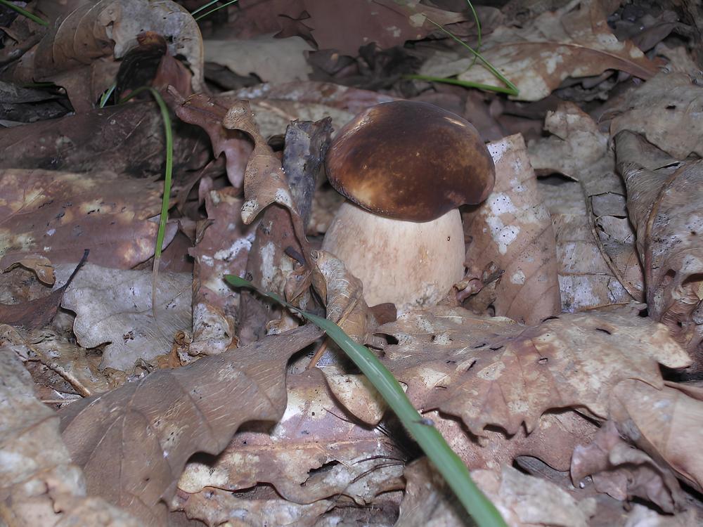 Photograph by Оксана Трофименко