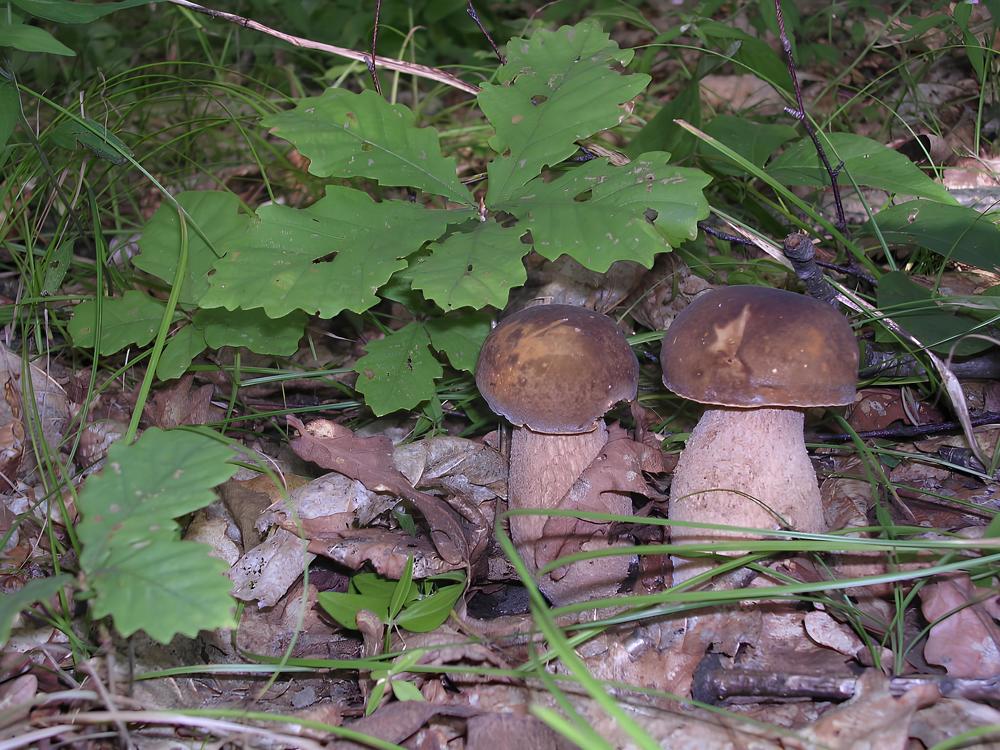 Photograph by Оксана Трофименко