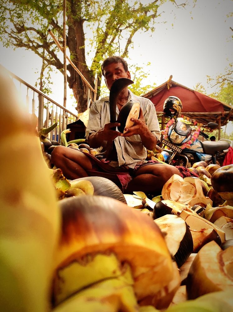 Фотография автора Debdutt Saha