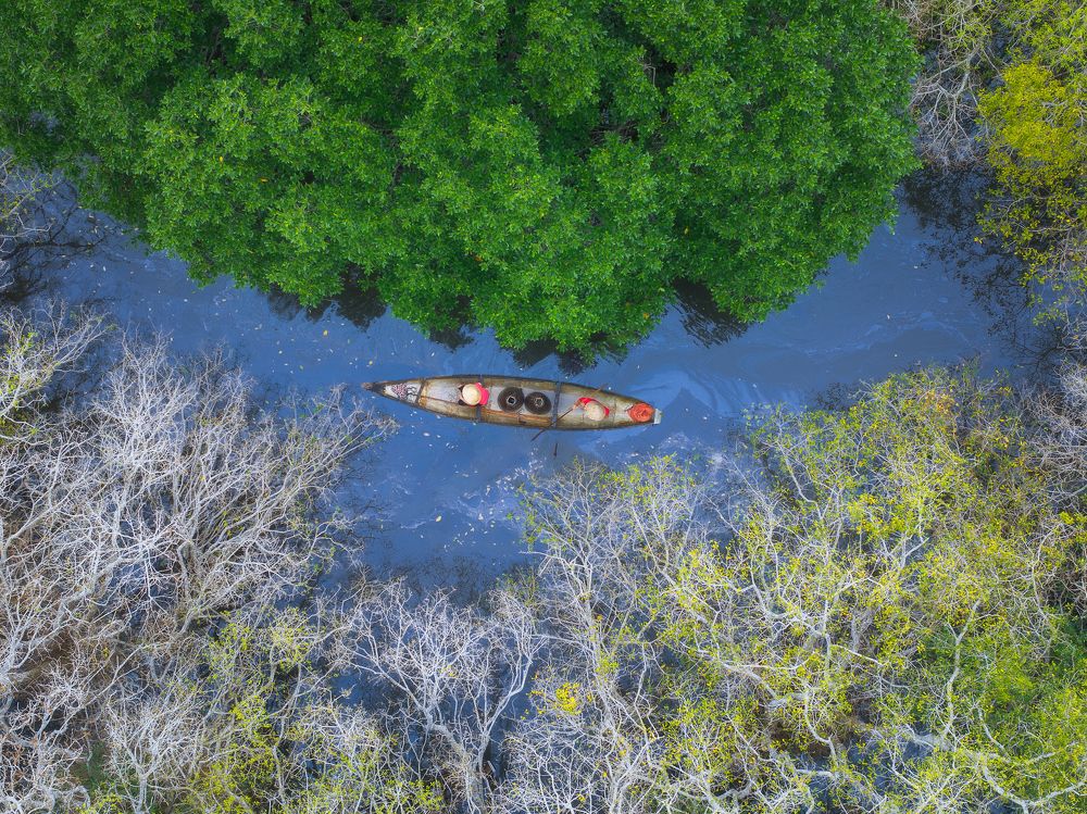 Leaf changing season