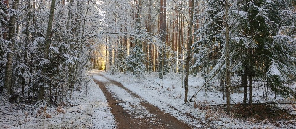 Photograph by Александр Кравченко