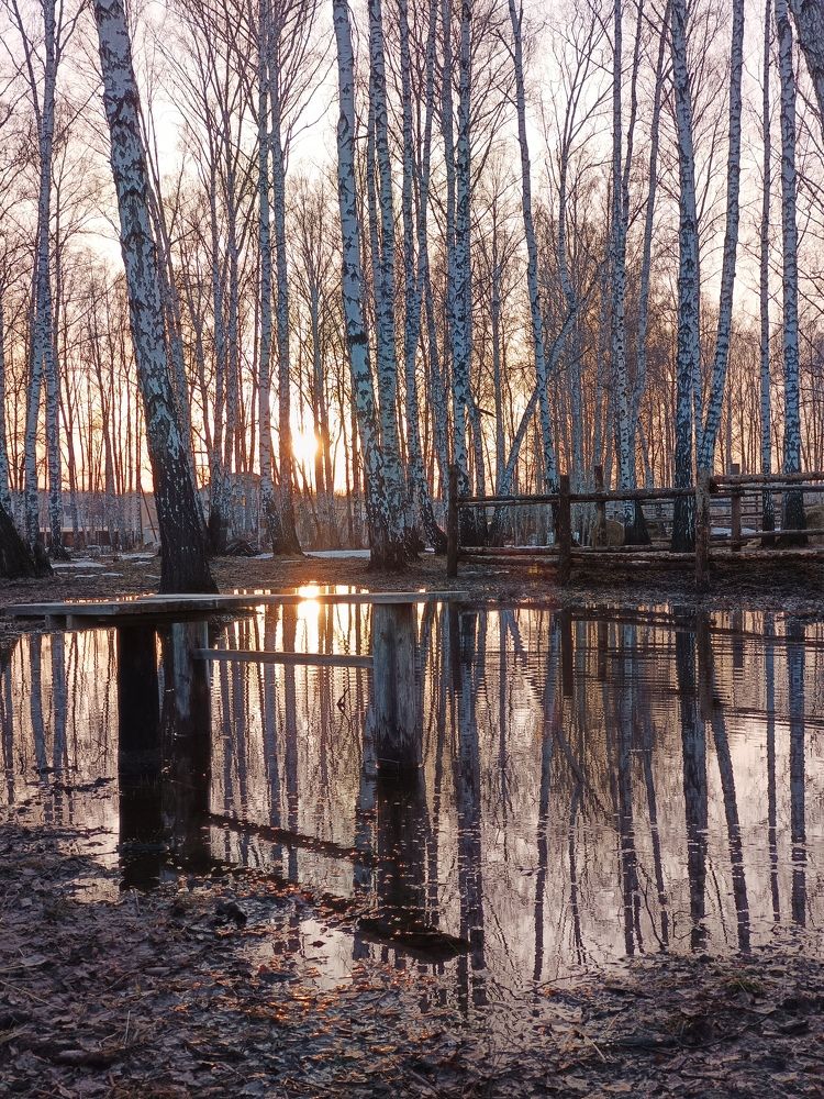 Photograph by Евгения Антропова