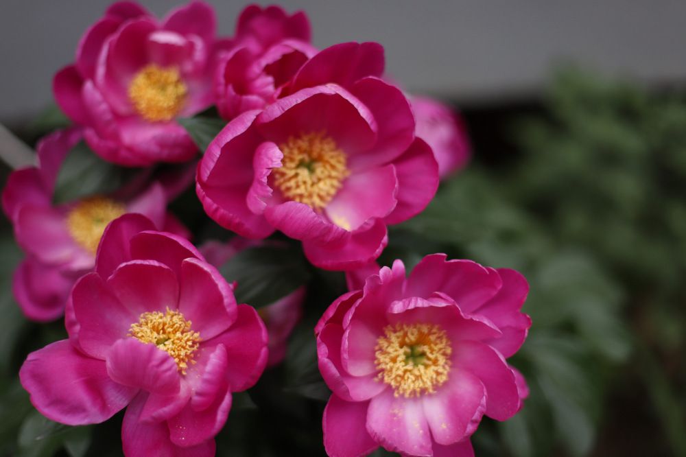 Photograph by Nargiza Karimova