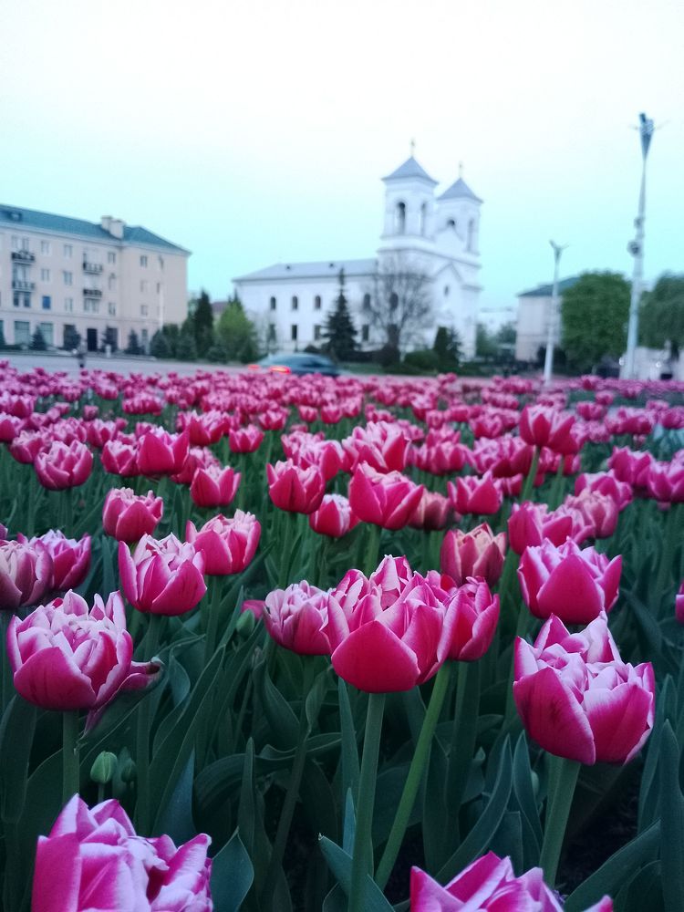 Фотография автора Михаил Бурминский