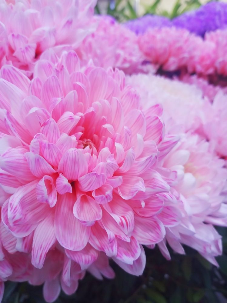 Photograph by Roman Pahota