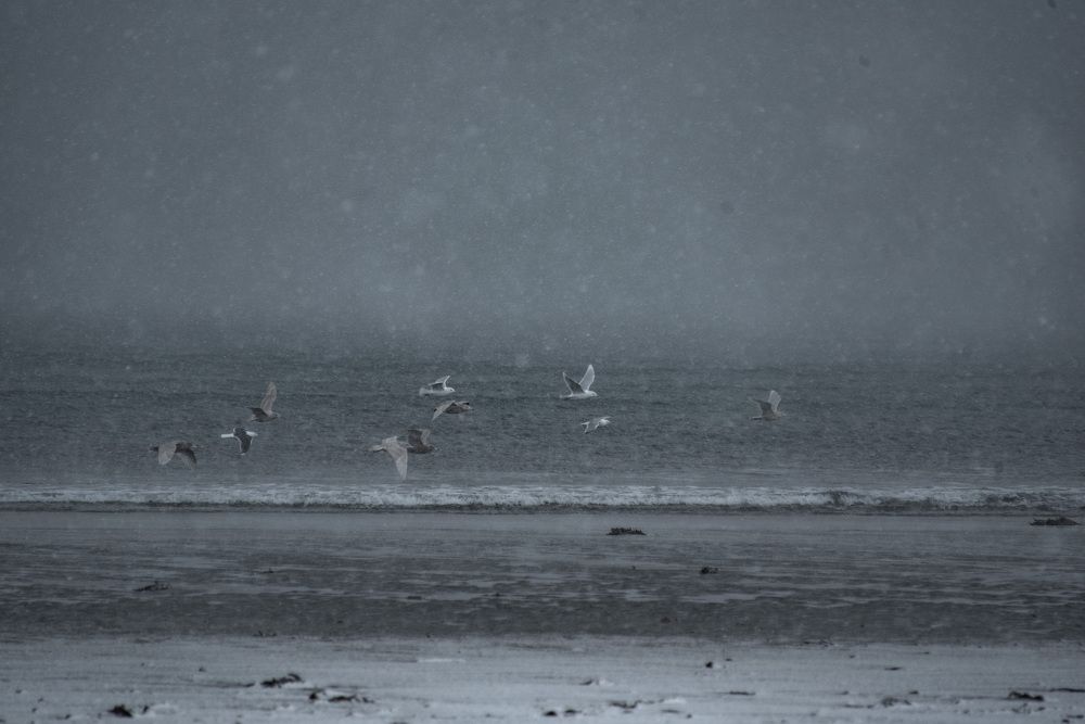 Photograph by Ксения Далишнева