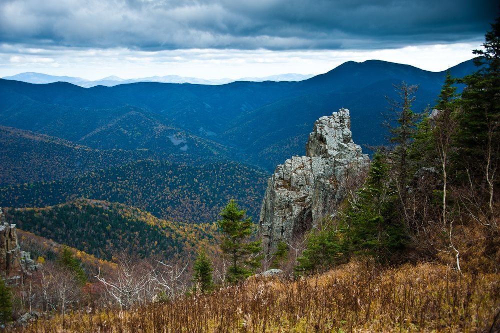 Photograph by Ксения Далишнева