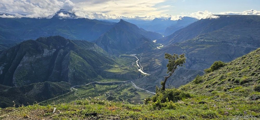 Фотография автора Наталья Владимировна