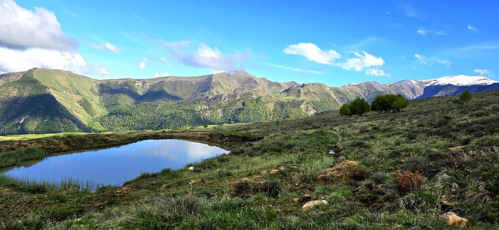 Фотография автора Наталья Владимировна