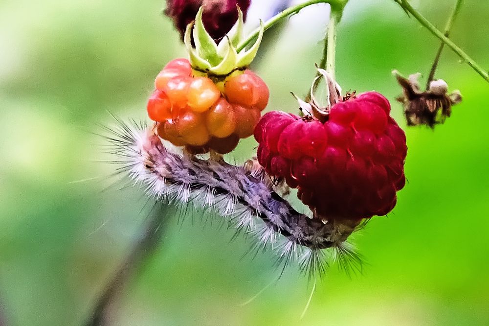 Photograph by Анастасия Глазюк