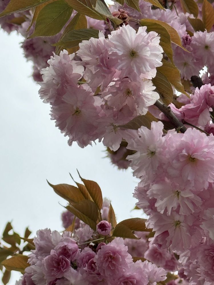 Photograph by Zhanna Kolesnikova