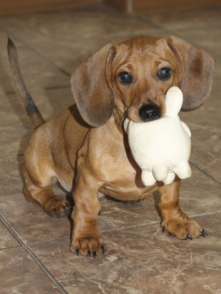 Photograph by Татьяна