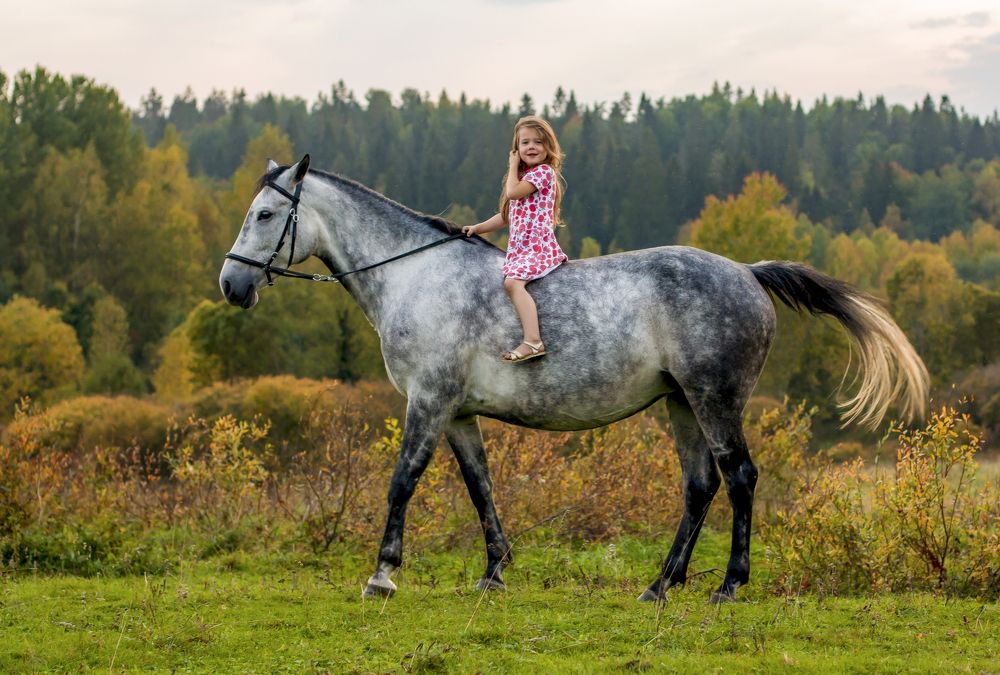 Photograph by Людмила Воробьева
