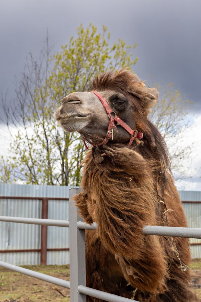 Photograph by Нина Пашина