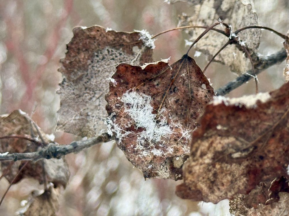 Photograph by Елена Карпухно