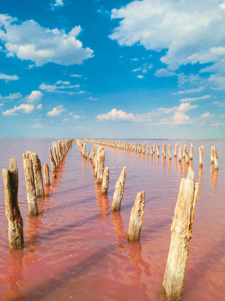 Photograph by Алексей Гуминский