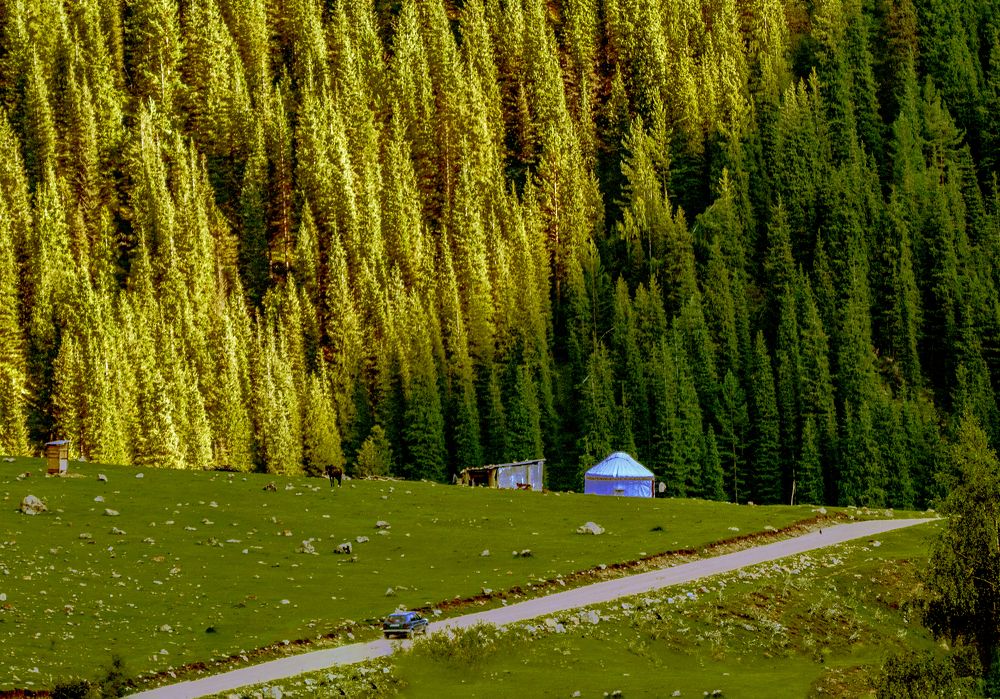 Photograph by Иван Труфанов