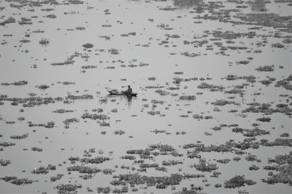 Photograph by Florence Rozario