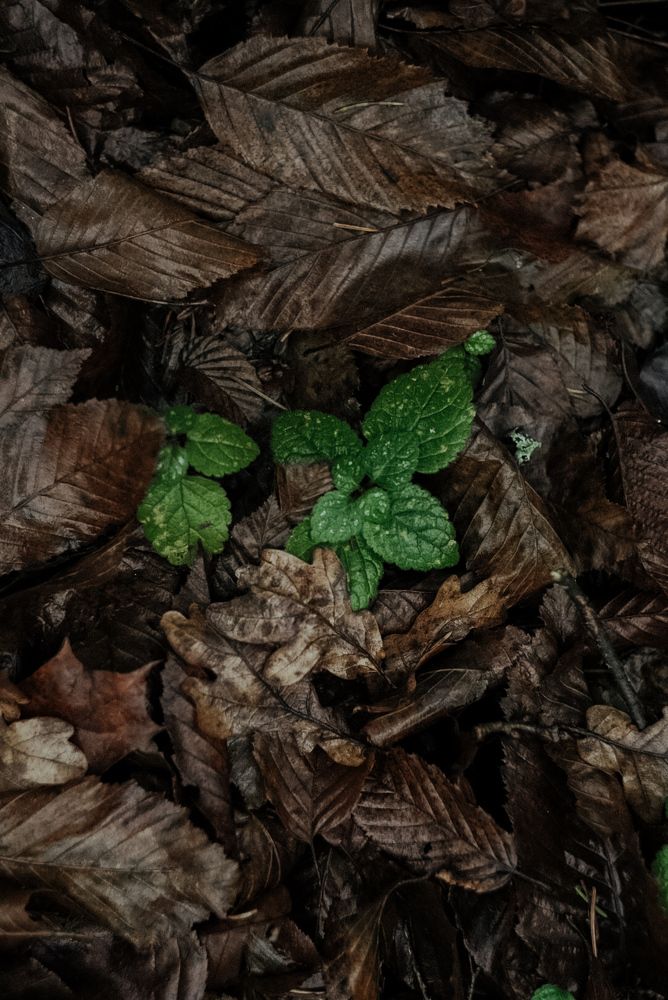 Photograph by Анастасия Черкасова