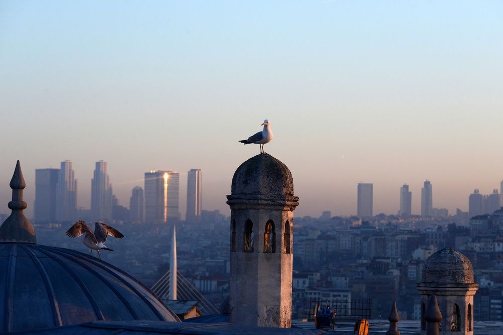 Photograph by Novikov Mikhail