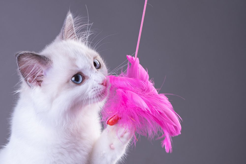 Photograph by наталья залогина