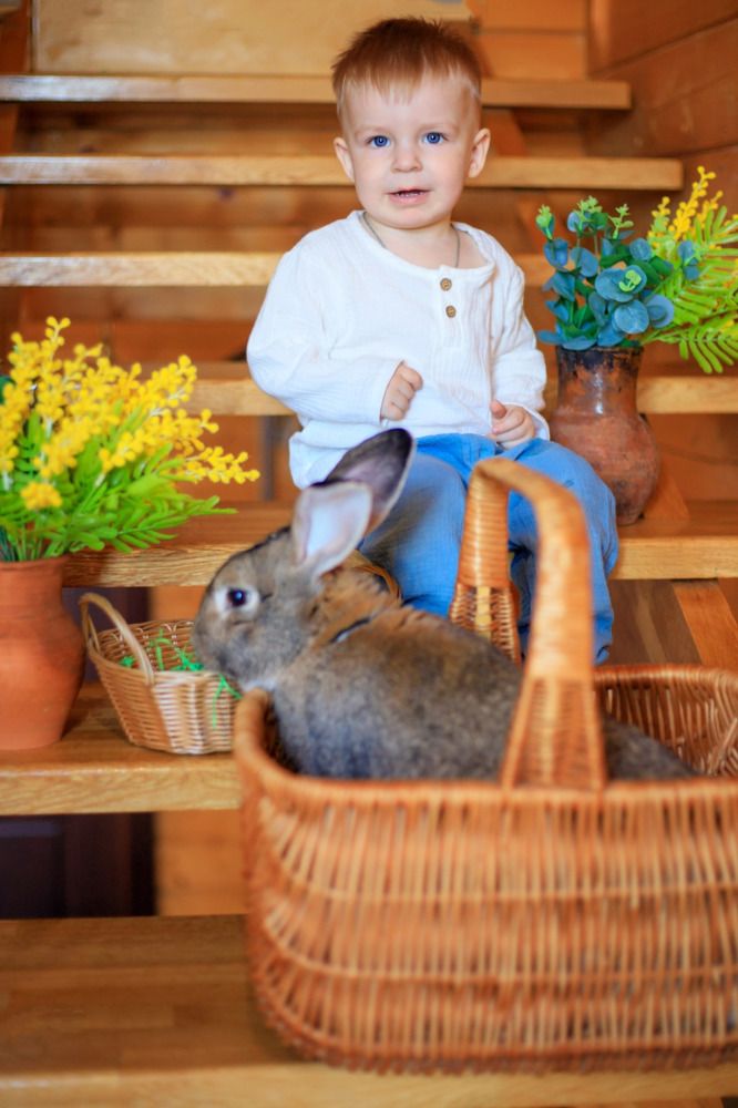 Photograph by Светлана Зубкова