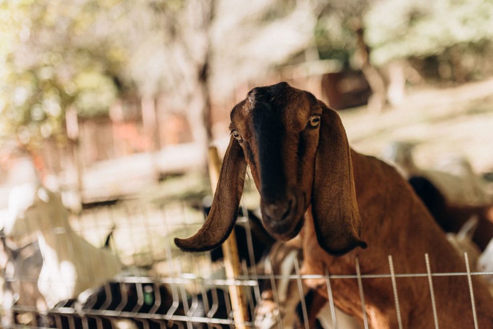 Photograph by Маргарита Поганова