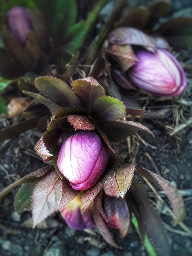 Photograph by Наталья Покрепина