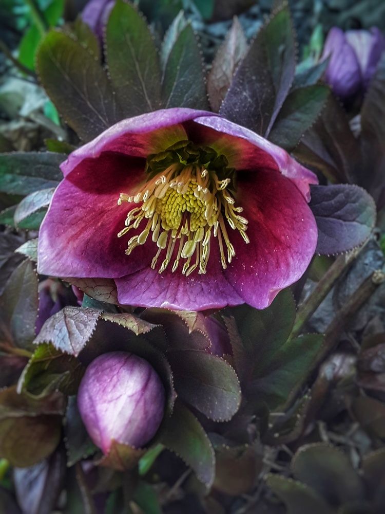 Photograph by Наталья Покрепина