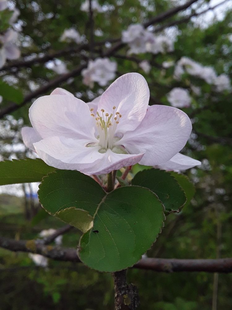 Photograph by Наталья Покрепина