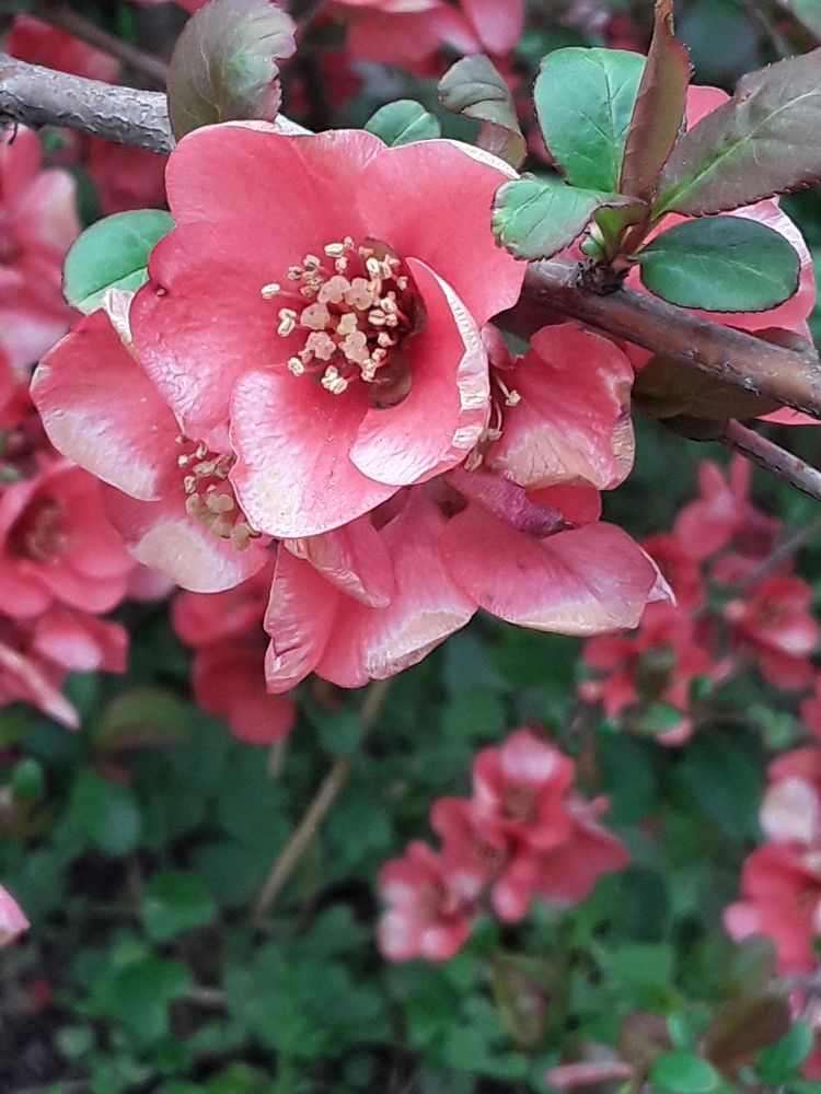 Photograph by Наталья Покрепина