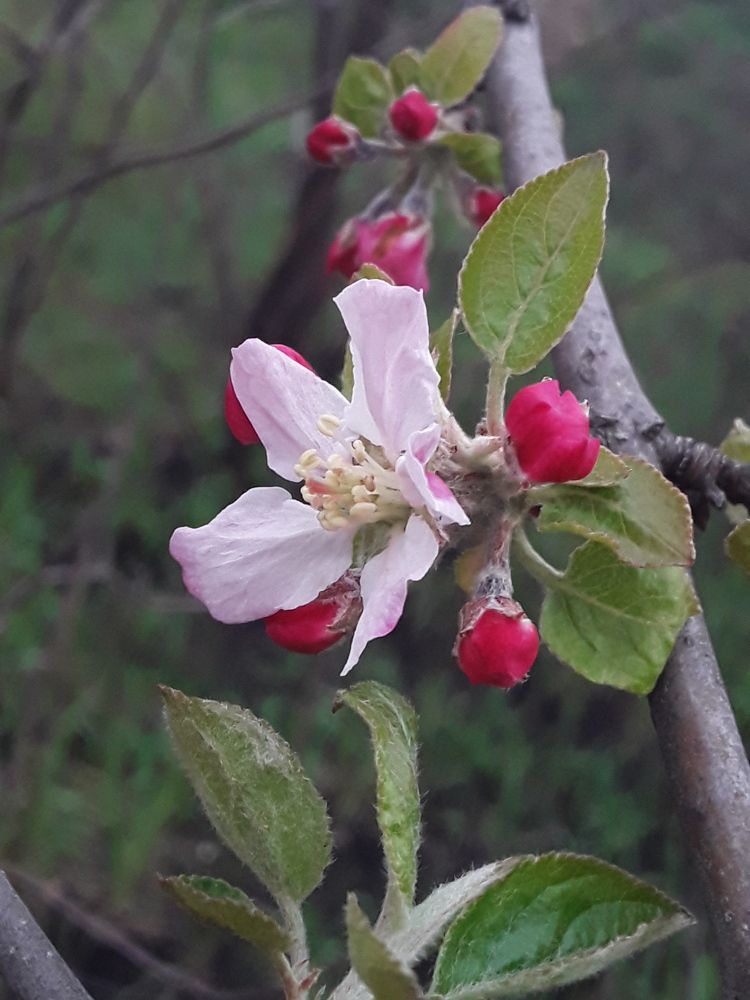 Photograph by Наталья Покрепина