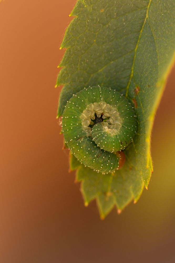 Photograph by Aída Torres