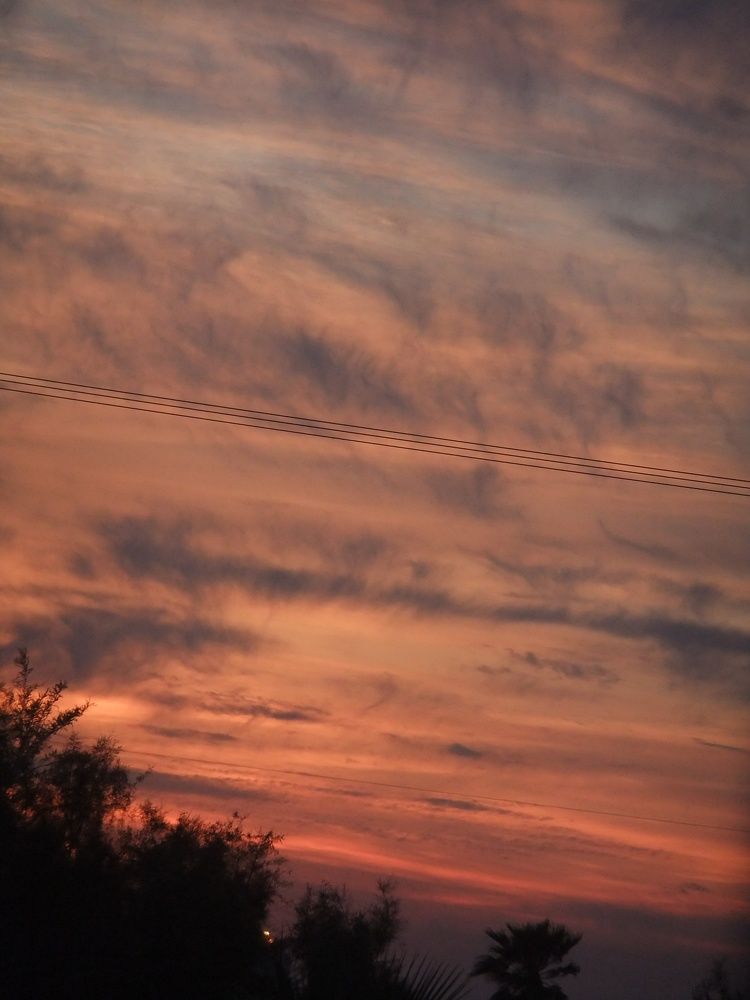 Photograph by Pati Goldberg