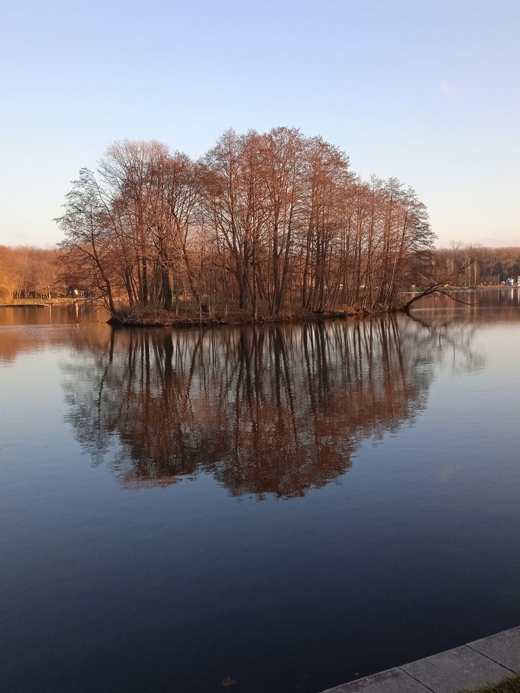 Photo #11453659