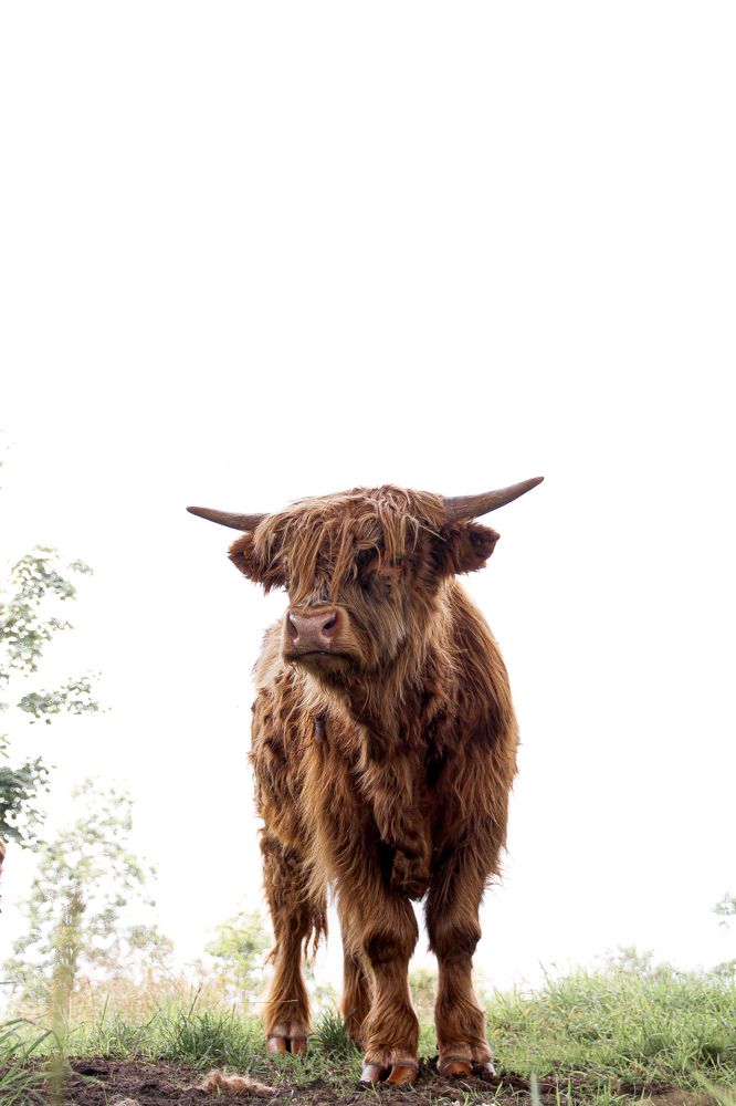 Фотография автора Alyona Madsen