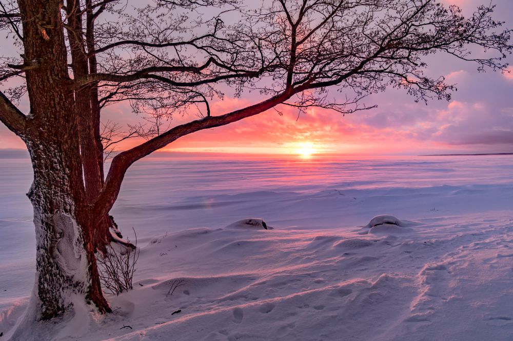 Photograph by Gennadiy Slezkin