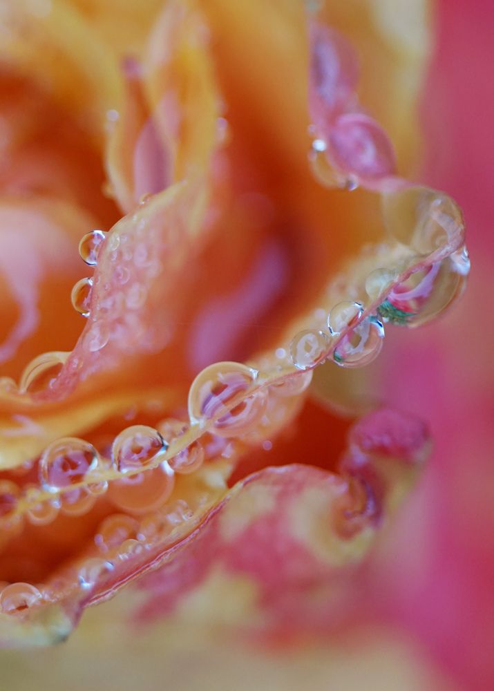 Photograph by Лена Максимкина