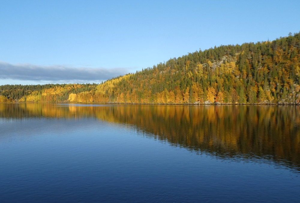 Photograph by Мария Петровцева