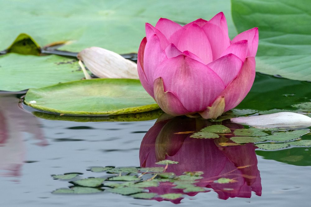 Photograph by константин