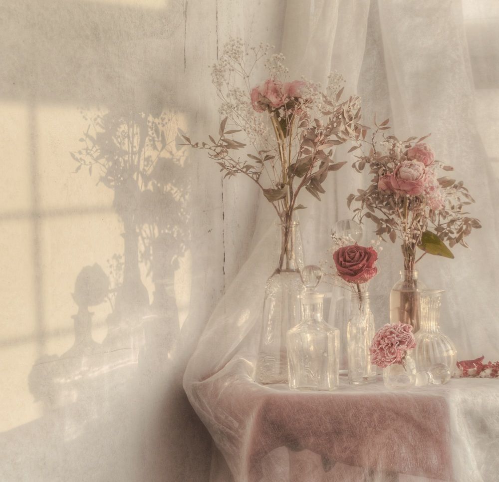 Photograph by Елена Пасажицкая