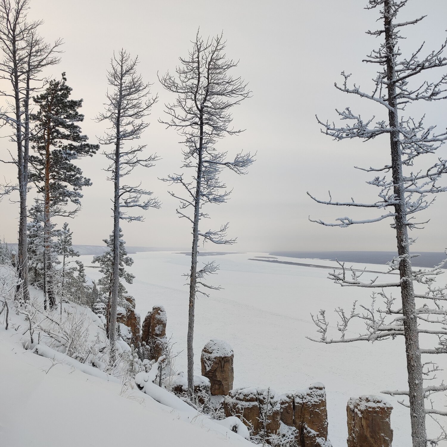 Photo #11453752